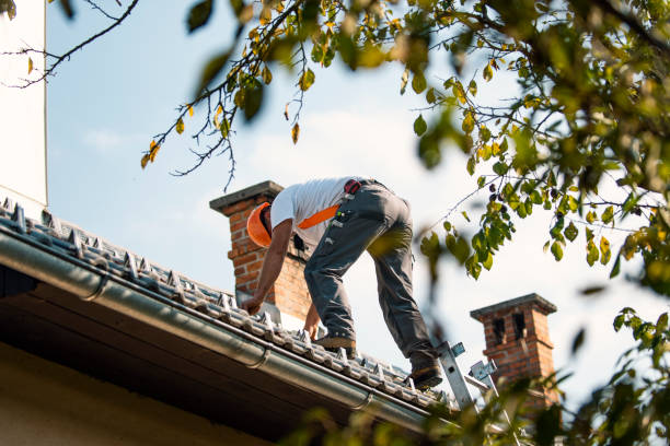 Best Sealant for Roof  in Meron Park, CA