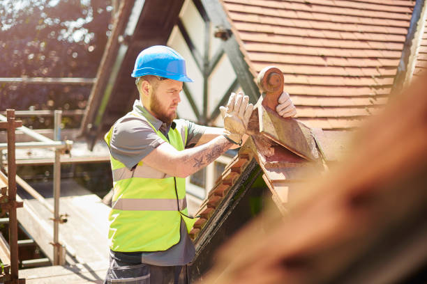 Best Roof Gutter Cleaning  in Meron Park, CA